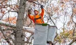 Hometown Septic Services