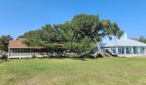 Lemond's Tree Services