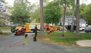 Arbor Rich Tree Service