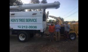 Kens tree Service