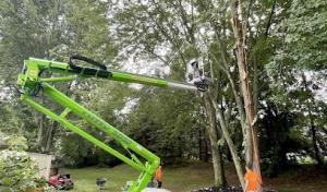 Lavish Landscape Tree Removal