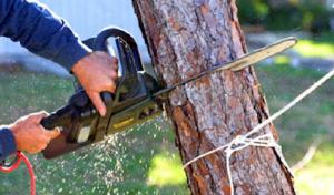Power Rooter Plumbing & Drain