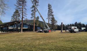 4 Brothers Tree Service