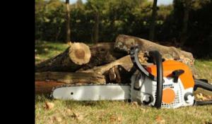 Get It Done Tree Service