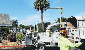 SOS Septic & Sewer
