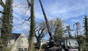 Rock Creek Tree, Turf & Landscape