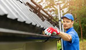 Veteran Environmental Services