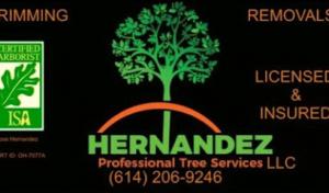 Riprock Backhoe Service & Septic Systems