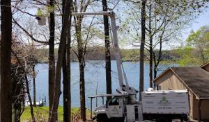 Top Notch Tree Experts