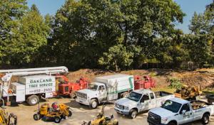 Oakland Tree Service