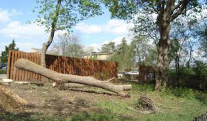 Thoma's Tree Service