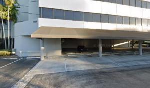 Famous Palms Tree Services.