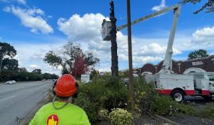 Proscape Septic Systems