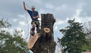 Rushing’s Tree Care