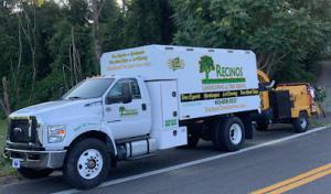 Recinos Landscaping & Tree Services