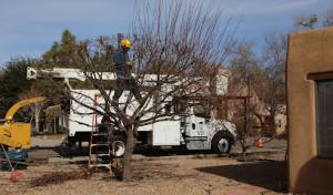 Cedar Creek Septic