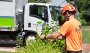 SavATree - Tree Service