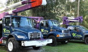 Leilani Tree Service