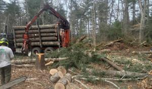 ND Cleaning & Tree Service