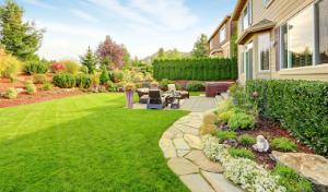 Don's Tree Removal & Landscaping