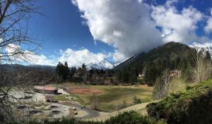 Apex Tree Experts - Gig Harbor