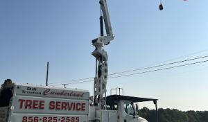 Cumberland Tree Service