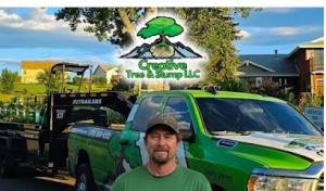 Creative Tree & Stump