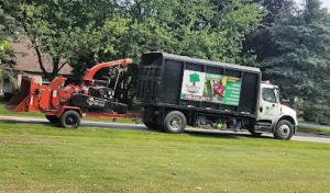 Ruben's tree services