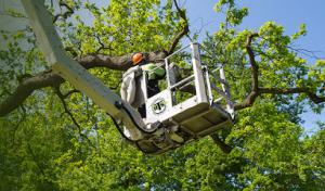 Ross Tree Service