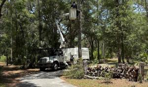 Liberty Tree Care