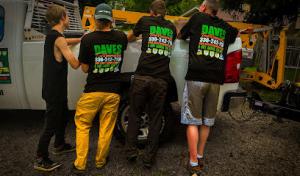 Daves Tree Removal
