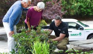 The Davey Tree Expert Company