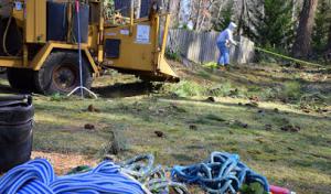 North Star Tree Service Lawrenceville