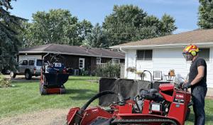 KVN Pro Tree Services