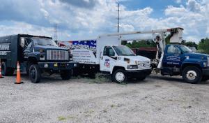 CoVannah Tree Service