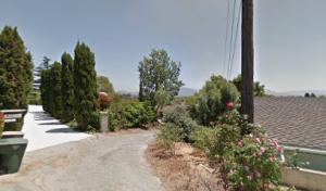 Salinas Tree Service & Landscaping