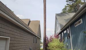 Brewington Tree Removal Service Sanford, NC