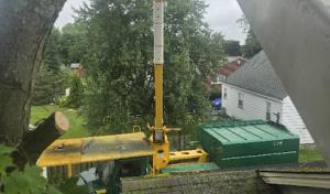 Smallwood Tree Experts