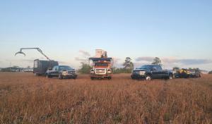 Southwest Tree Service