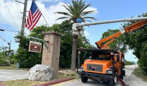 We Care Tree Service