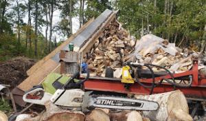 Ridge Tree Trimming Service