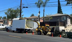 Everardo's Tree Care