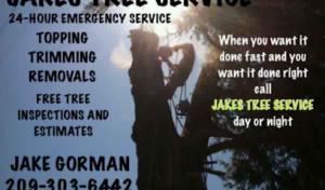 Jake’s Tree Service