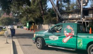 Shades of Green Tree Service