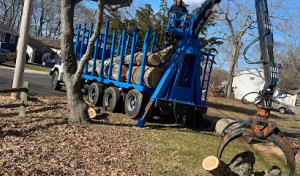 First Choice Tree Service