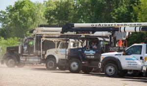 ArborTech Tree Services