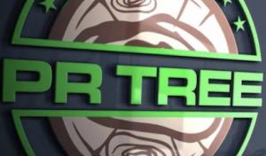 PR Tree Services