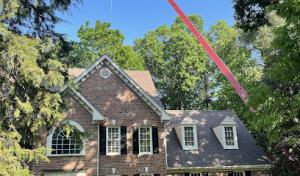 M & T Friendly Tree Service