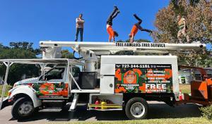 Tree Rangers Tree Service