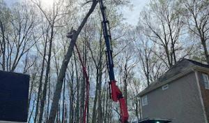 BH Enterprise & Landscaping